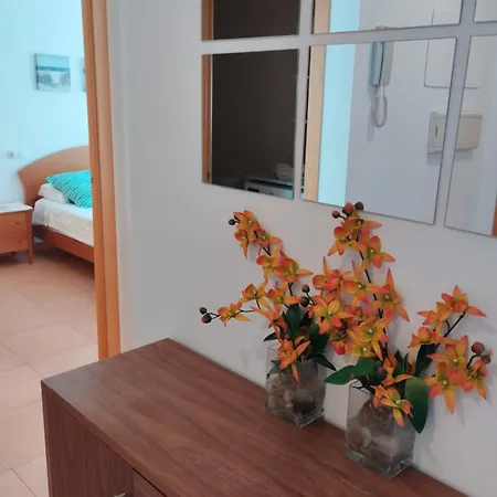 Apartament Canet Estival *